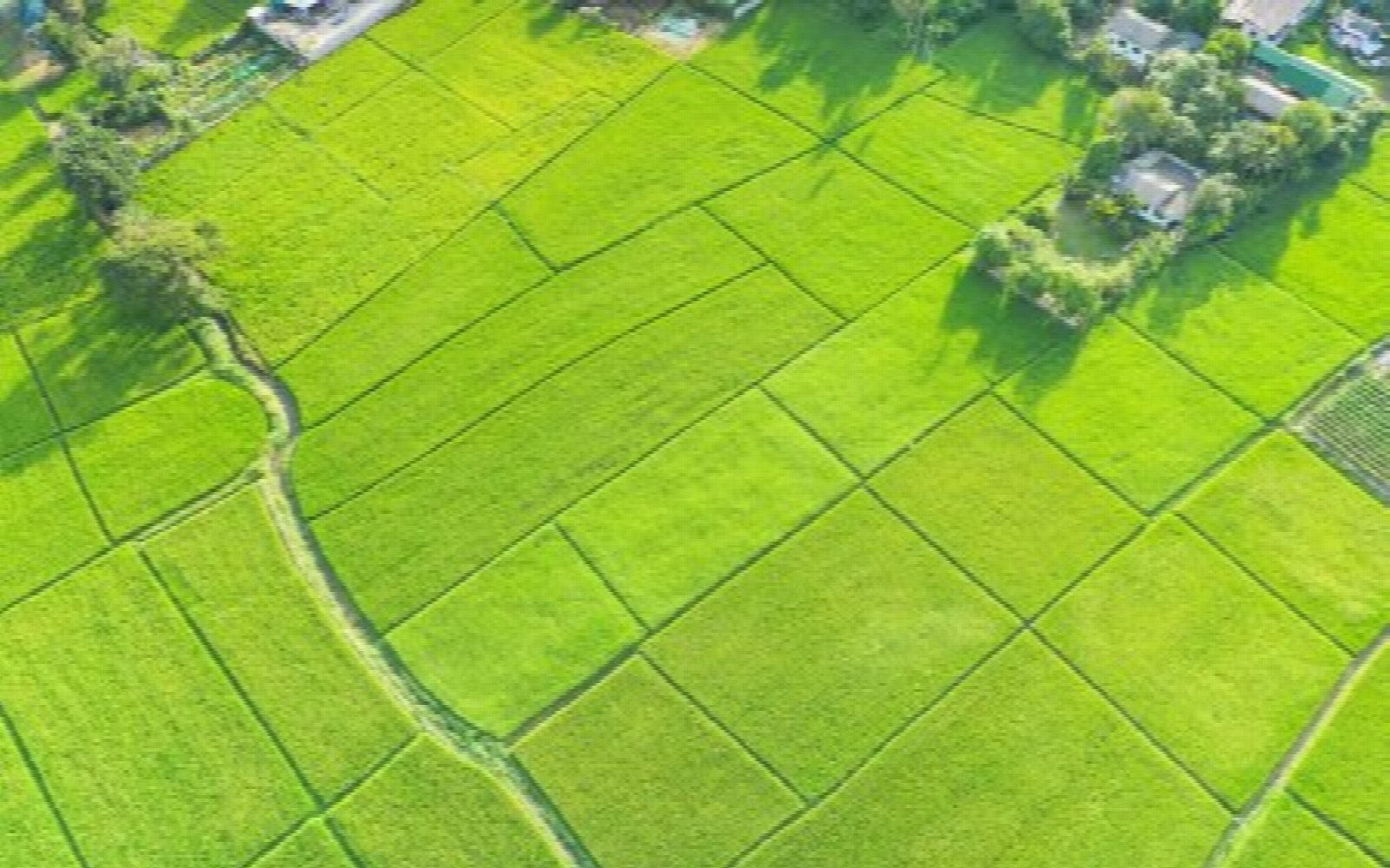 XYZ DEMO ETAPA 1 — mapa pozemků